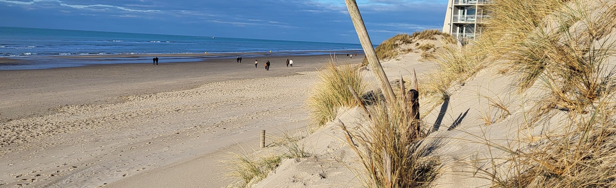 Cucq, Stella plage, PasdeCalais, France 44 Reviews, Map AllTrails