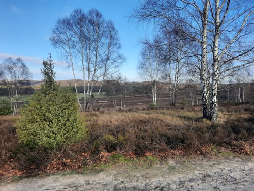 Im Tal der Haverbeeke: Zum Alfred-Toepfer-Blick