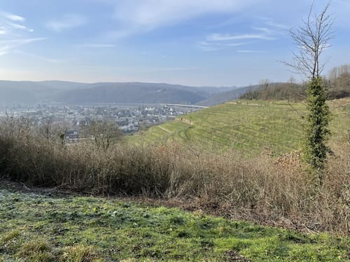 Rheinsteig Etappe 3: Bad Honnef - Linz