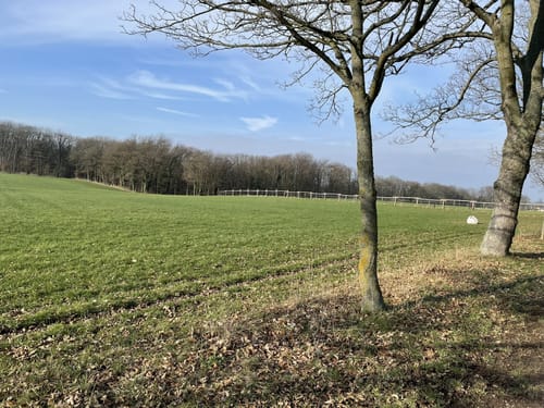 Rheinsteig Etappe 3: Bad Honnef - Linz