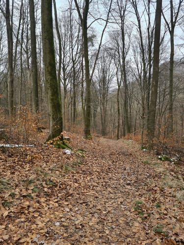 Kräuterweg Neunkirchen-Seelscheid