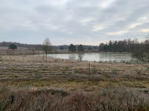 Wahner Heide