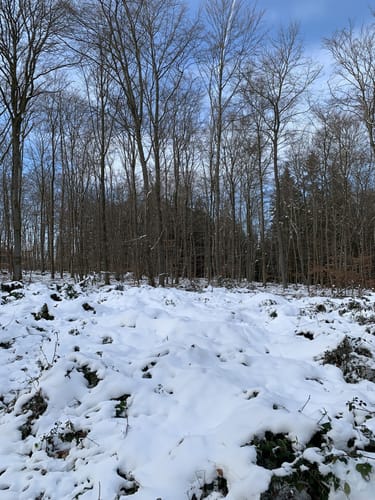 Michels Vitaltour (Premiumwanderweg)