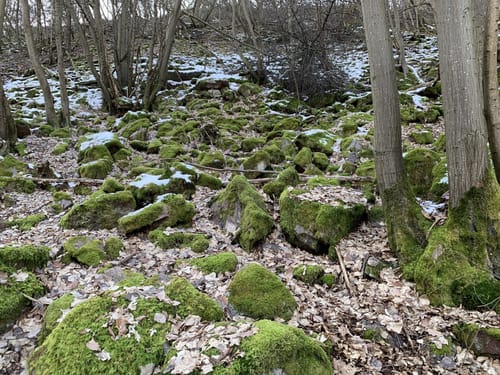 Michels Vitaltour (Premiumwanderweg)