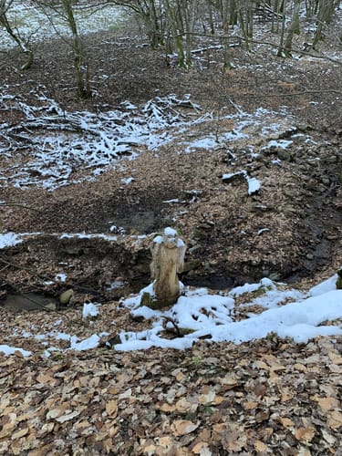 Michels Vitaltour (Premiumwanderweg)