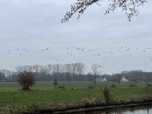 Neersen Rundwanderweg II
