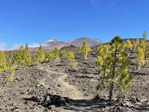 Free Images : landscape, nature, walking, hiking, adventure, hike,  climbing, extreme sport, ridge, summit, mountain bike, mountaineering,  spain, sports, backpacking, outlook, tenerife, canary islands, teide  national park, lava field, outdoor recreation