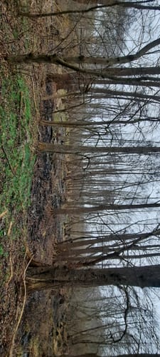 Wanderlehrpfad um den Wernsdorfer See