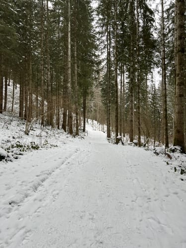 Buflings - Zell - Kalzhofen