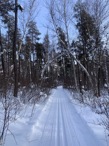 Best Hikes and Trails in Sandilands Provincial Forest AllTrails