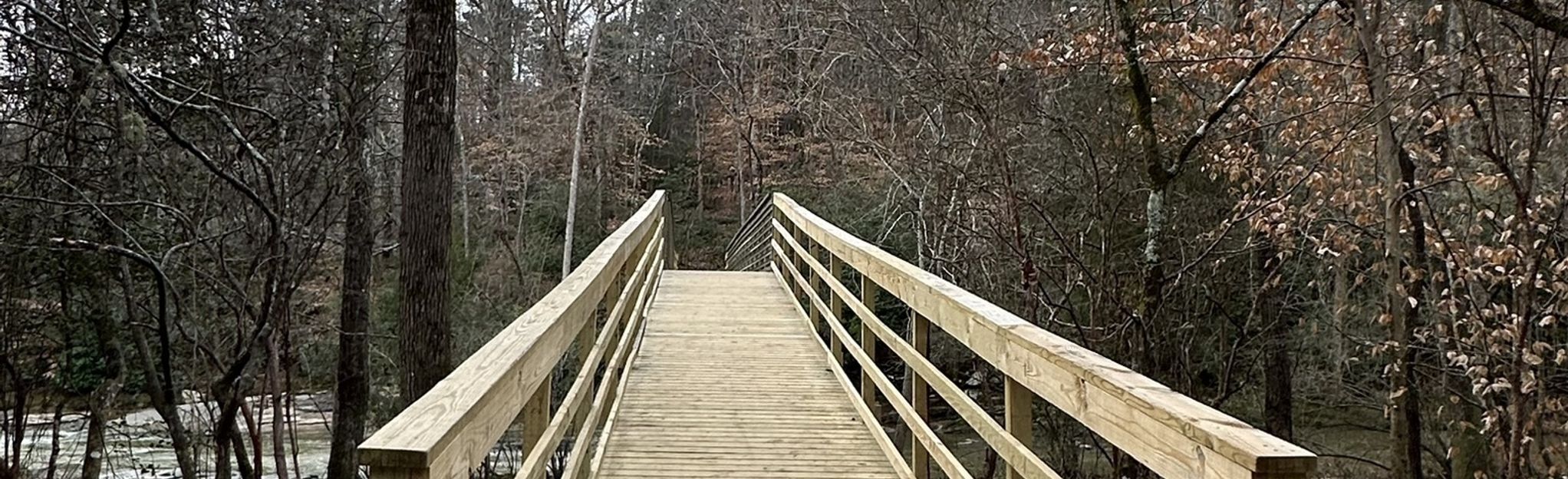 Palmetto Trail: 150 Reviews, Map - South Carolina | AllTrails