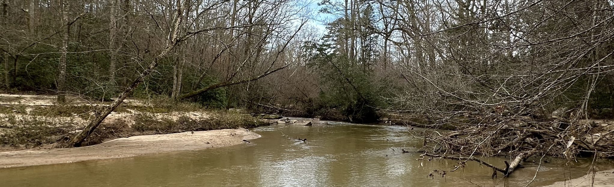 Fairforest Loop Trail, South Carolina - 265 Reviews, Map | AllTrails