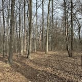 Pohatcong Creek Trail, New Jersey - 70 Reviews, Map | AllTrails