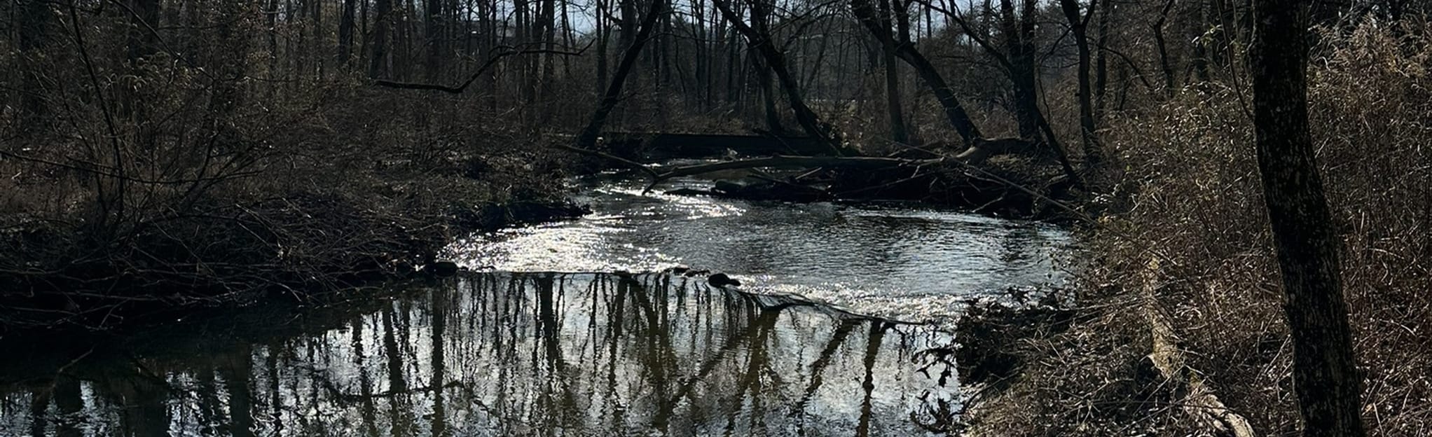 Pohatcong Creek Trail, New Jersey - 59 Reviews, Map | AllTrails