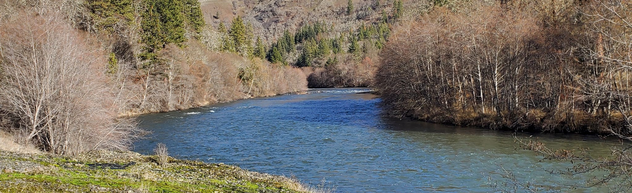 Klickitat River Trail, Washington 77 Reviews, Map AllTrails