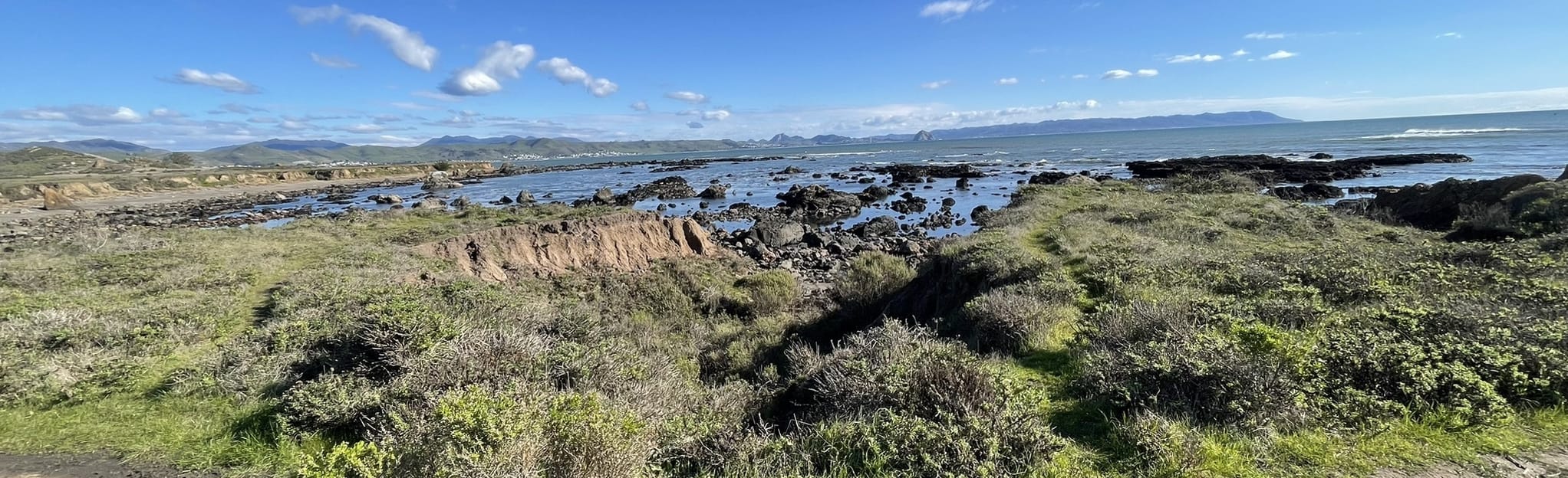 Estero Bluffs to Cayucos Point: 168 Reviews, Map - California | AllTrails