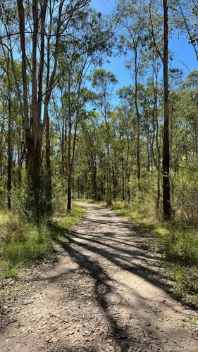 Best Hikes and Trails in Mulgoa Nature Reserve | AllTrails