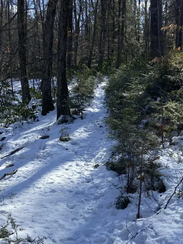 Best Hikes And Trails In Quabbin Reservoir Reservation | AllTrails