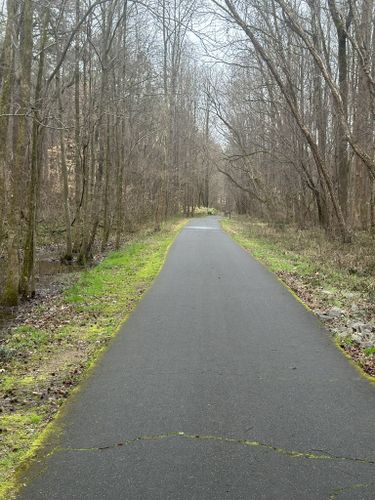 Best Hikes and Trails in McAlpine Creek Greenway | AllTrails