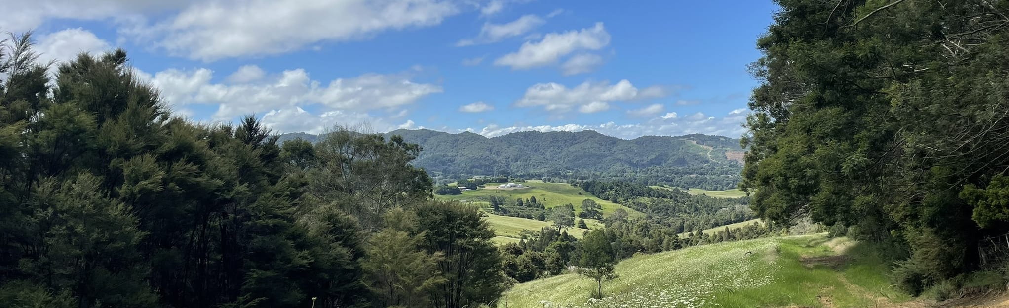 Otaika Valley Walk, Northland, New Zealand 14 Reviews, Map AllTrails