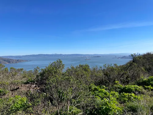 10 Best Trails and Hikes in Sausalito | AllTrails