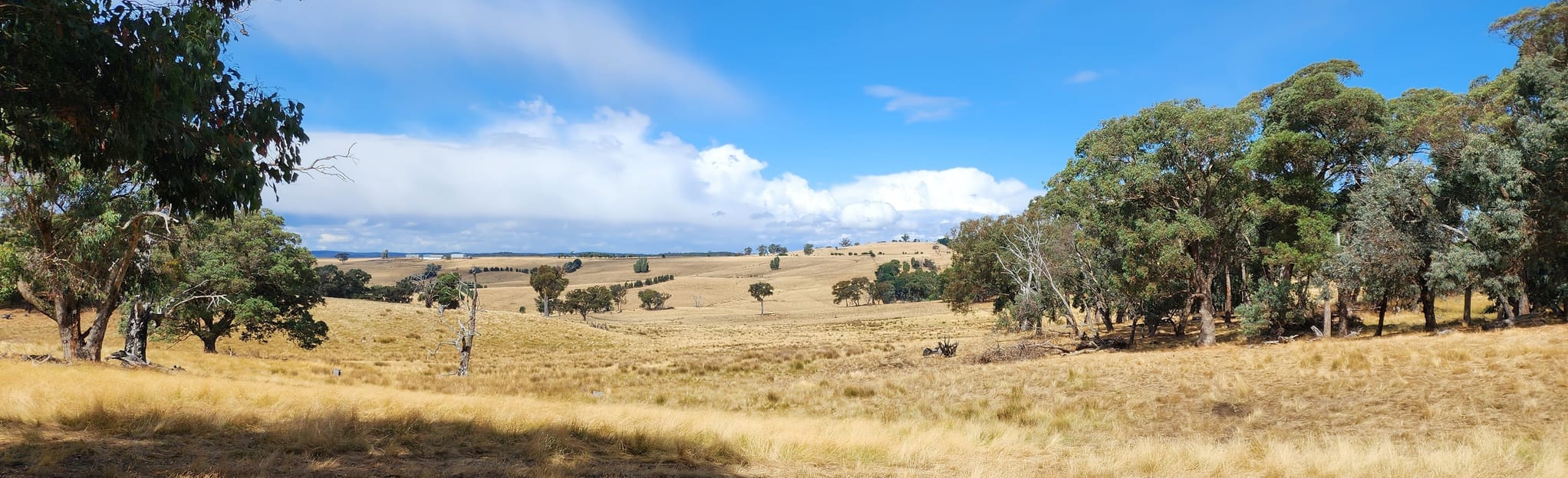 Dry Diggings Track Sawpit Gully to Vaughan Springs 18 Reviews, Map