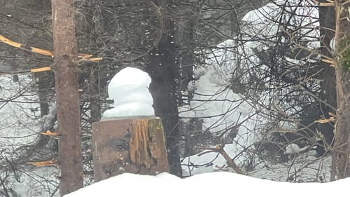 Schneewittchenloipe