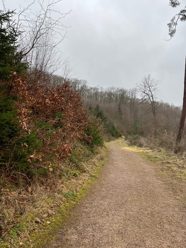 EifelSchleife Burgenblick
