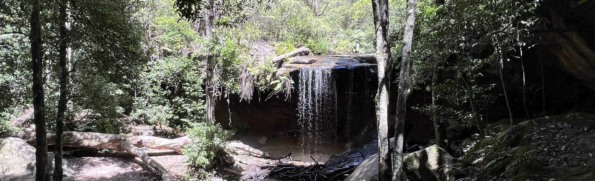 Horseshoe Falls, Oakland Falls and Burgess Falls Track 225 Reviews