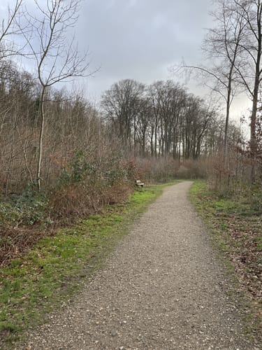 Kerpen Rundweg K6