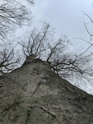 Kerpen Rundweg K6