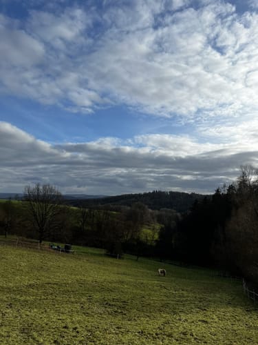 Rundwanderwege Johannesberg: Roter Hase