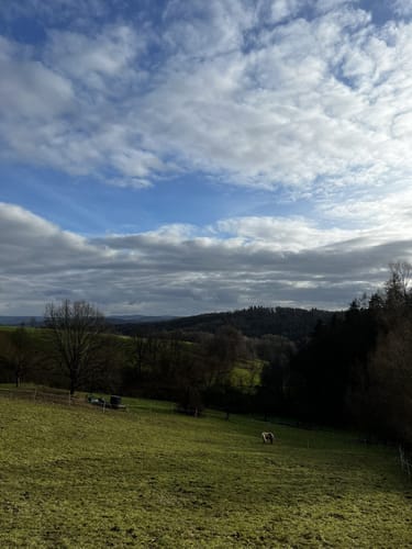 Rundwanderwege Johannesberg: Roter Hase