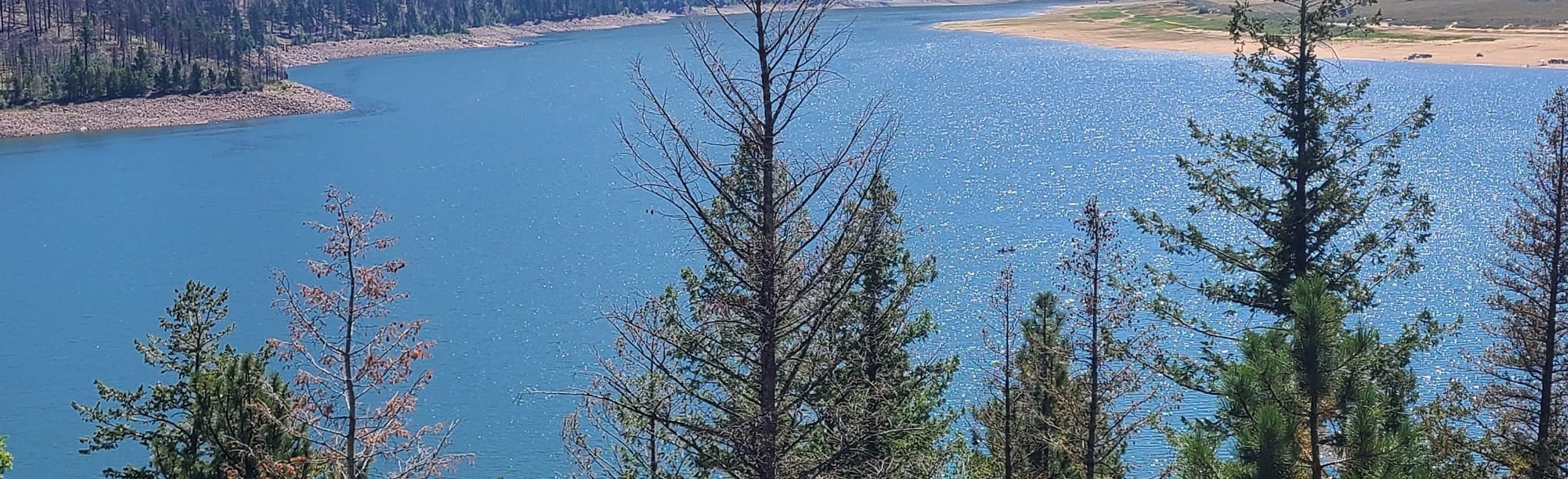 Lambert Lake Trail 1 Reviews, Map Utah AllTrails