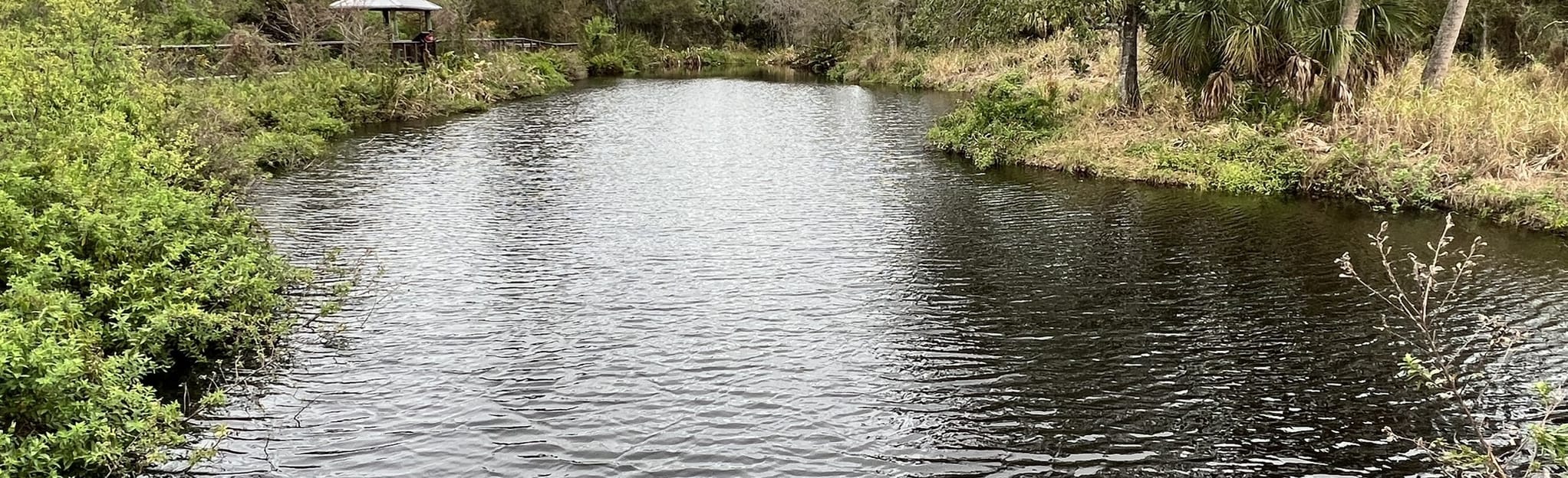 D. J. Wilcox Preserve Interpretive Trail 78 Reviews, Map Florida