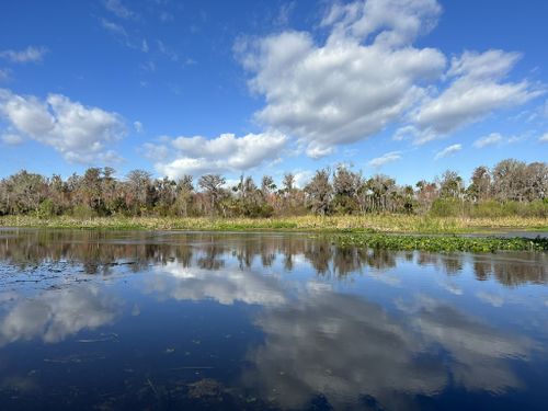 Best Hikes and Trails in Lower Wekiva River Preserve State Park | AllTrails