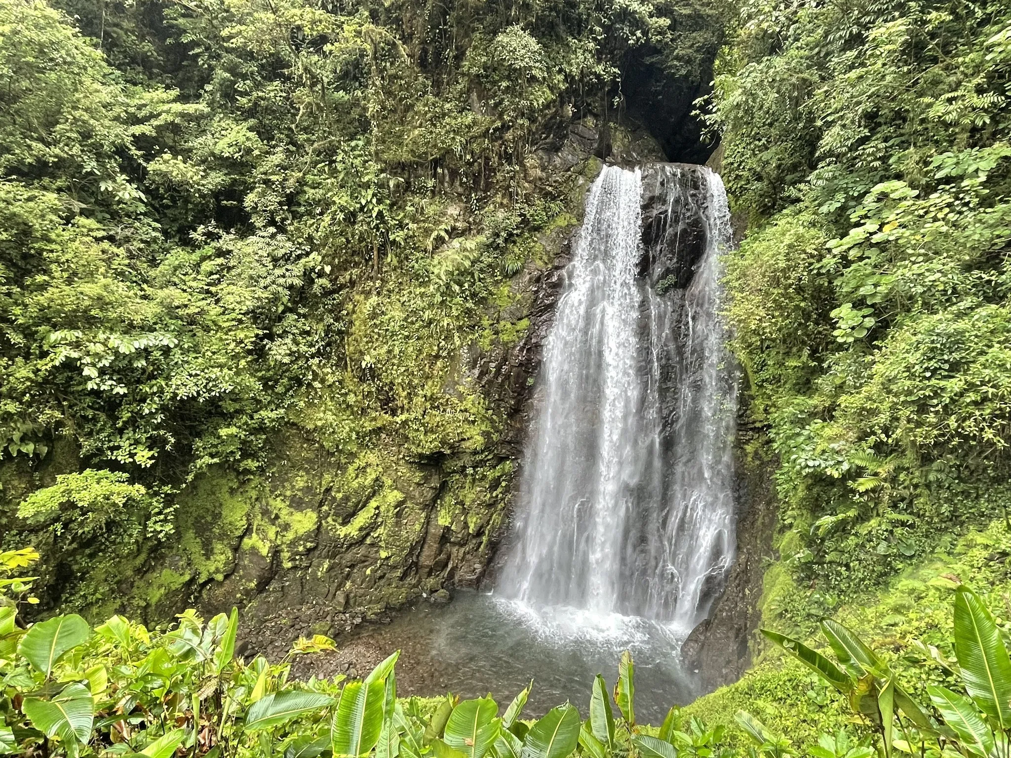 El Tigre Waterfalls Trail logo