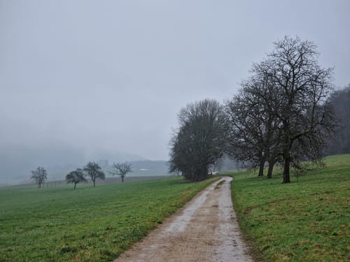 Über Inzlingen und Rührberg