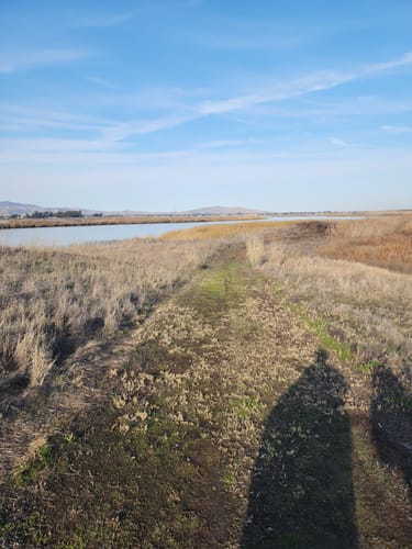 Best Hikes and Trails in Rush Ranch Open Space | AllTrails