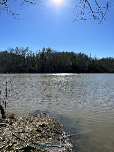 Best Hikes and Trails in Toiter Creek Reservoir Park | AllTrails