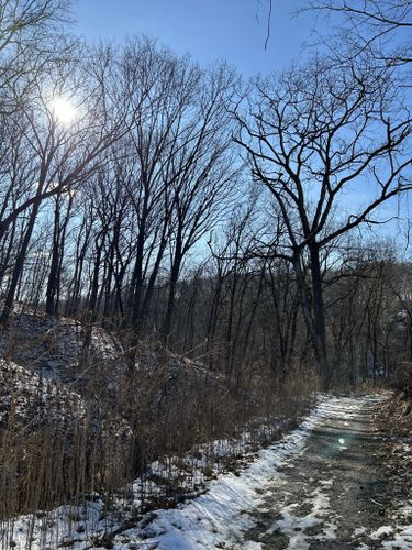 Best Hikes and Trails in Coal Hollow Park | AllTrails