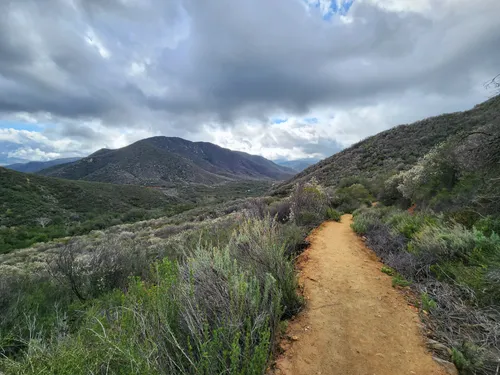 Murrieta Ca