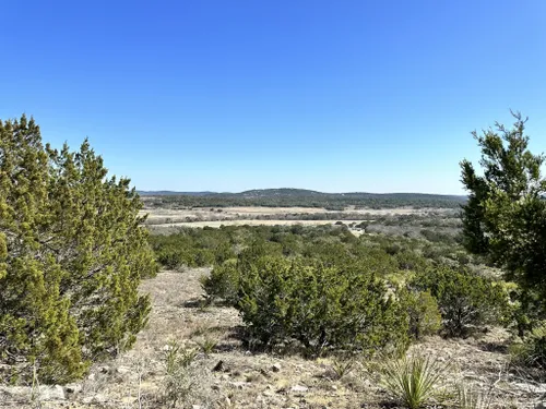 Trails in Hill Country State Natural Area, Texas, United States 56241457 | AllTrails.com