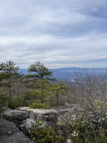 Best Cave Trails in George Washington - EyJidWNrZXQiOiJhc3NldHMuYWxsdHJhaWxzLmNvbSIsImtleSI6InVwbG9hZHMvcGhvdG8vaW1hZ2UvNTYyNDY0NzcvN2Q3NjI0Yjg3OTJiMDJjMzc1MGFmYTcwNzUyNzhlYTEuanBnIiwiZWRpdHMiOnsidG9Gb3JtYXQiOiJ3ZWJwIiwicmVzaXplIjp7IndpZHRoIjo1MDAsImhlaWdodCI6NTAwLCJmaXQiOiJpbnNpZGUifSwicm90YXRlIjpudWxsLCJqcGVnIjp7InRyZWxsaXNRdWFudGlzYXRpb24iOnRydWUsIm92ZXJzaG9vdERlcmluZ2luZyI6dHJ1ZSwib3B0aW1pc2VTY2FucyI6dHJ1ZSwicXVhbnRpc2F0aW9uVGFibGUiOjN9fX0=