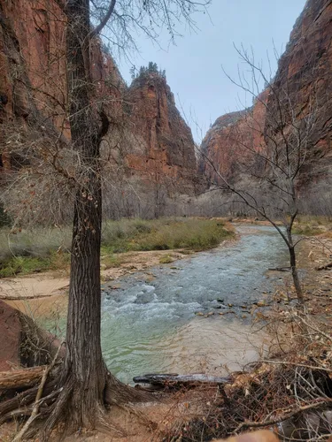 Best 10 Hikes and Trails in Zion National Park | AllTrails