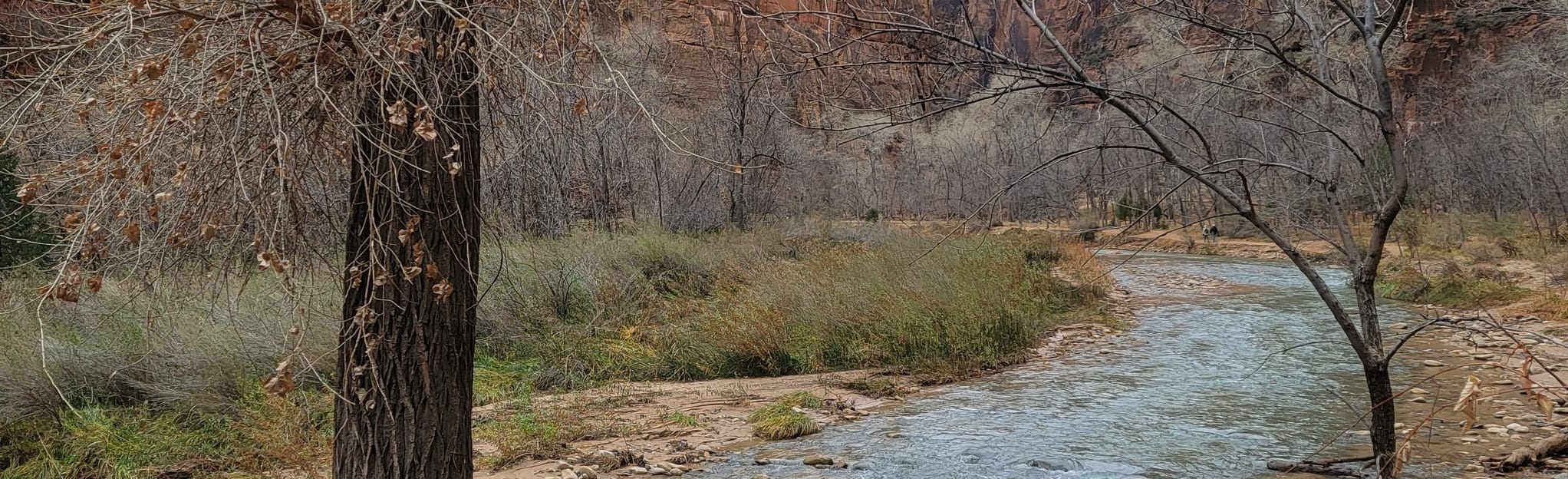 Floating Rock via Zion Narrows Riverside Walk 6,735 Reviews, Map