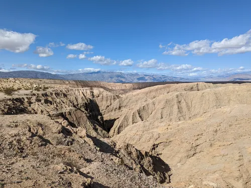 Anza 2024 borrego backpacking