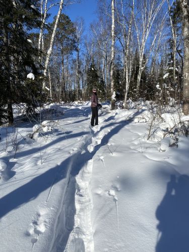 Best Hikes And Trails In Bear Head Lake State Park 