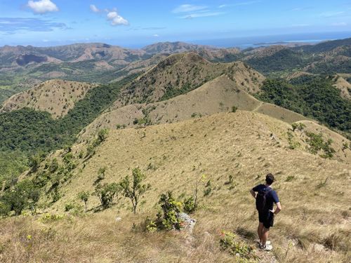 2023 Best Forest Trails in Palawan | AllTrails