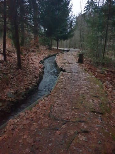 Rohrgraben ab Greifenbachmühle